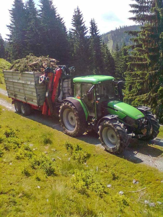 Grubhof Weissenbacher Altenmarkt im Pongau Buitenkant foto